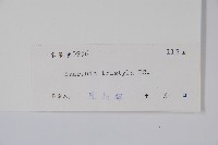 水東哥藏品圖，第2張