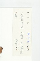 清茶柿藏品圖，第6張