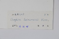 澄廣花藏品圖，第2張