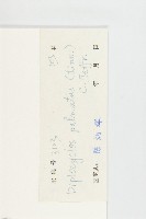 雙輪瓜藏品圖，第3張