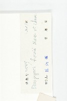 鏡面柿藏品圖，第3張