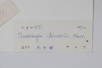 中華老鴨嘴藏品圖，第2張