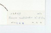 登錄號:S029567藏品圖，第3張