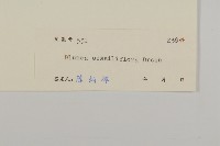 無梗艾納香藏品圖，第3張