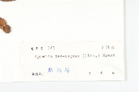 登錄號:S029715藏品圖，第3張