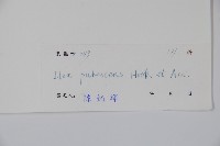 密毛假黃楊藏品圖，第2張