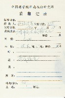 山紅柿藏品圖，第5張