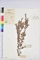 登錄號:S029820藏品圖，第1張