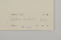 江南山柳藏品圖，第3張