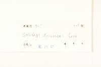 一枝黃花藏品圖，第3張