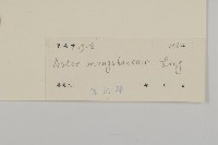 莽山紫菀藏品圖，第3張