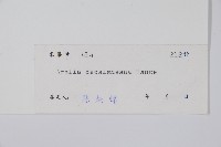 鵲不踏藏品圖，第2張