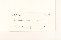 一枝香藏品圖，第3張