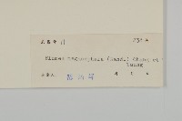 大頭艾納香藏品圖，第3張