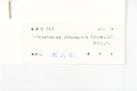 娥房藤藏品圖，第3張