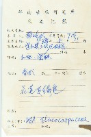 禿瓣杜英藏品圖，第2張