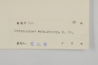 登錄號:S029997藏品圖，第3張