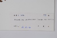 山橙藏品圖，第2張