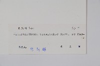 錦繡莧藏品圖，第2張