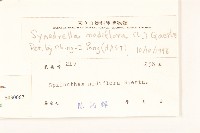 金腰箭藏品圖，第3張