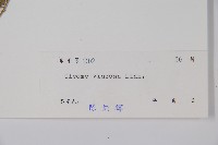 向天黃藏品圖，第2張