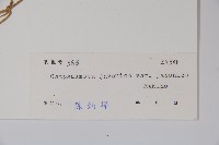 金錢豹藏品圖，第2張