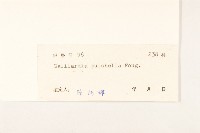 天人菊藏品圖，第3張