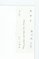 山紅柿藏品圖，第6張