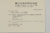 山素英藏品圖，第2張