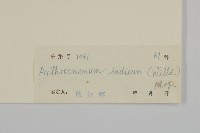 登錄號:S030174藏品圖，第3張