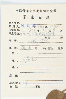 豬菜藤藏品圖，第2張