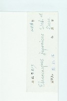 薯豆藏品圖，第3張