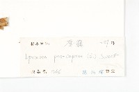 登錄號:S030241藏品圖，第3張