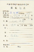 烏柿藏品圖，第2張