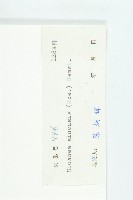 猴歡喜藏品圖，第3張