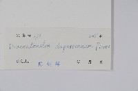 人面子藏品圖，第2張