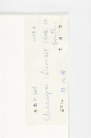 華杜英藏品圖，第3張