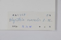 登錄號:S030455藏品圖，第2張