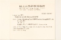 腺葉澤蘭藏品圖，第2張