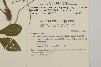 臺灣鬼督郵藏品圖，第2張