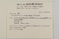 阿里山油菊藏品圖，第2張