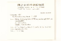 玉山黃菀藏品圖，第2張