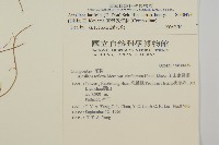 臺灣鬼督郵藏品圖，第2張