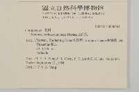 高山艾藏品圖，第2張