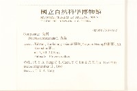 黃菀藏品圖，第2張