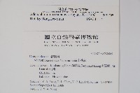 玉山沙參藏品圖，第2張