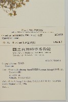 玉山卷耳藏品圖，第2張