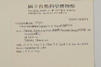 高山蠅子草藏品圖，第2張