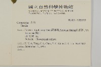 黃山蟹甲草藏品圖，第2張