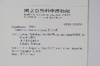 玉山小蘗藏品圖，第2張